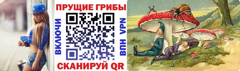 как найти закладки  Елец  гидра как зайти  Галлюциногенные грибы MAGIC MUSHROOMS 