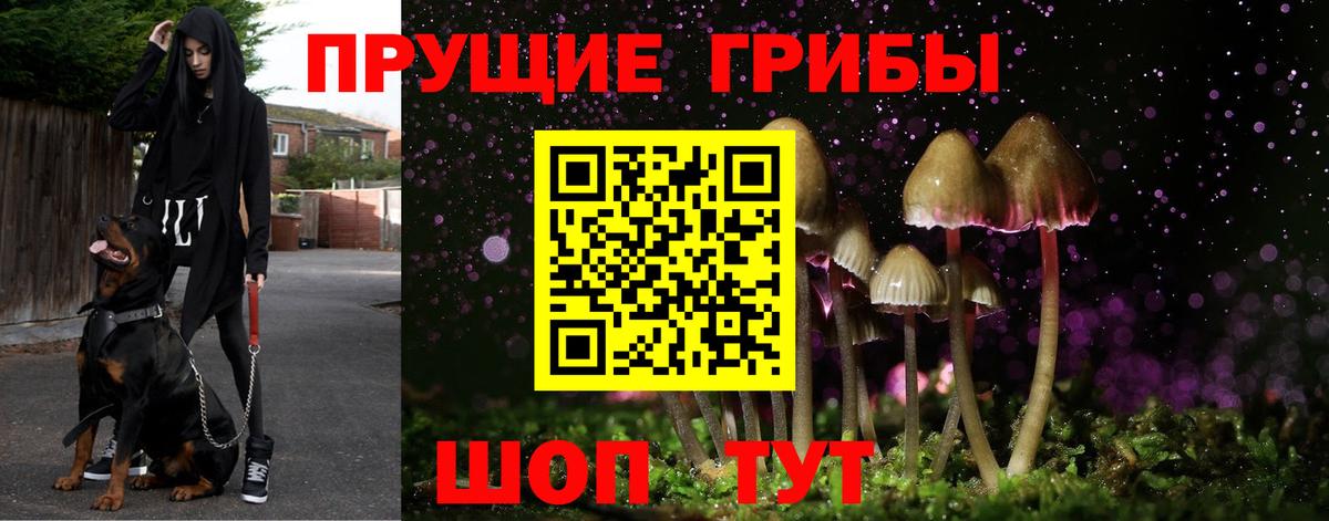 Псилоцибиновые грибы мицелий Елец