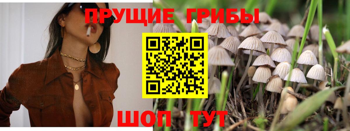 Галлюциногенные грибы Psilocybine cubensis  Вход с VPN  Елец 